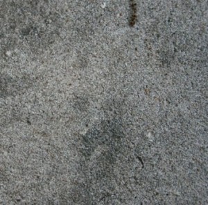 Cement concrete Flooring