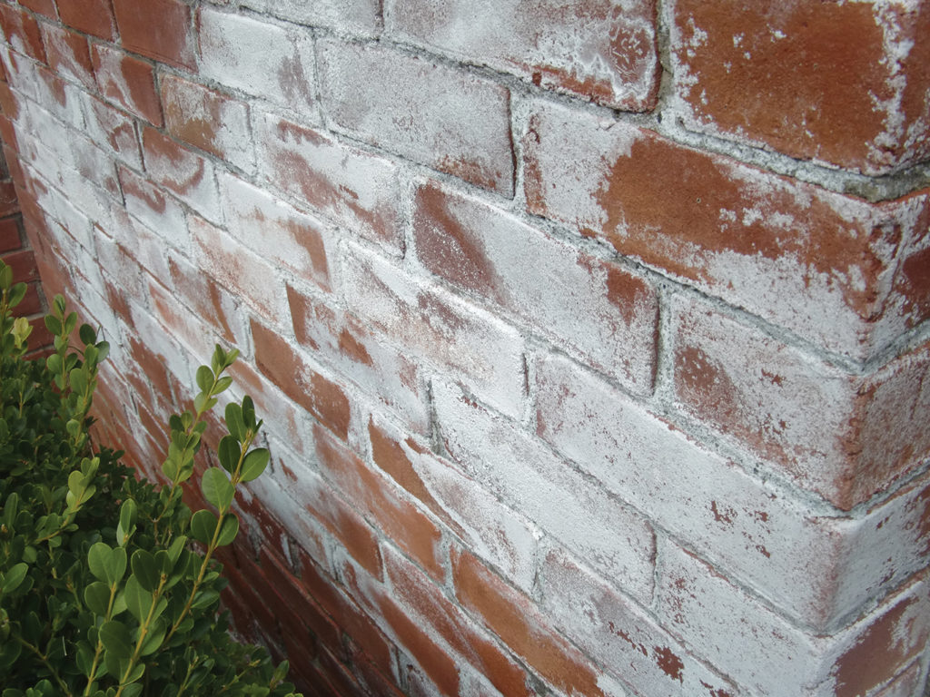 Efflorescence in Brick Work The Construction Civil